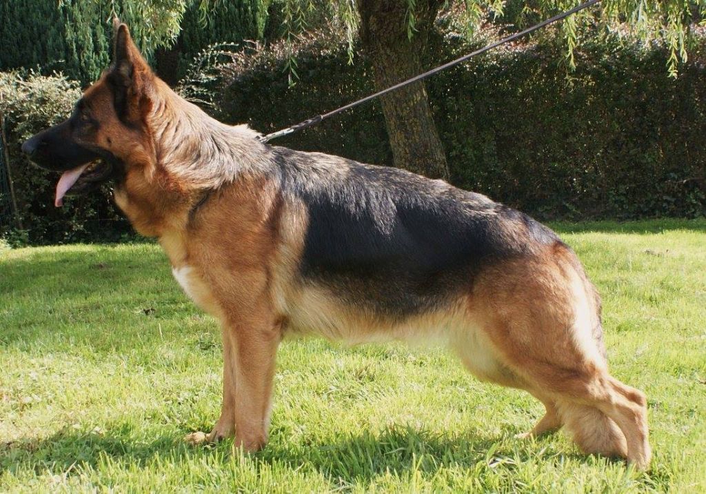 Publication : Beffroi du boulonnais