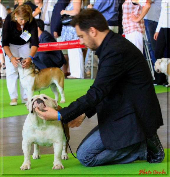 Feliz de vivir del Caliborso - Excellent