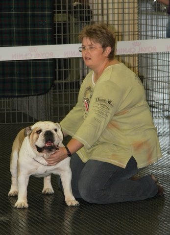 Kelloe Credibility - 2ème Excellent