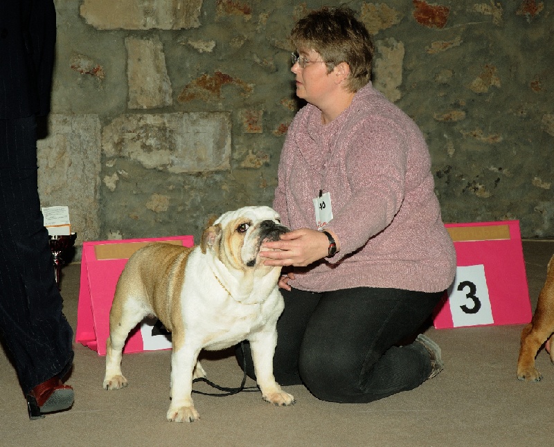 Kelloe Credibility - 4ème Excellent