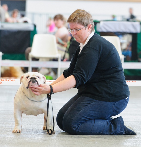 Feliz de vivir del Caliborso - 3ème excellent