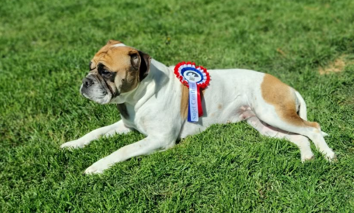 Uguette De la queue du grill - Confirmée