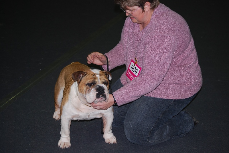 Alcyone De la queue du grill - Très Bon