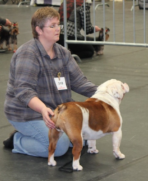 Feliz de vivir del Caliborso - 1ère Très Bon