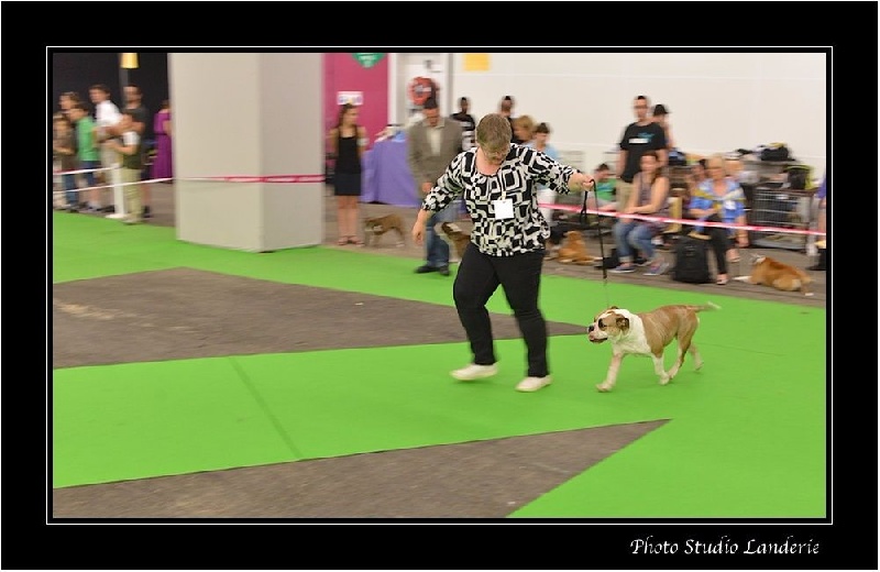 Pickwick Umea - 2ème Excellent