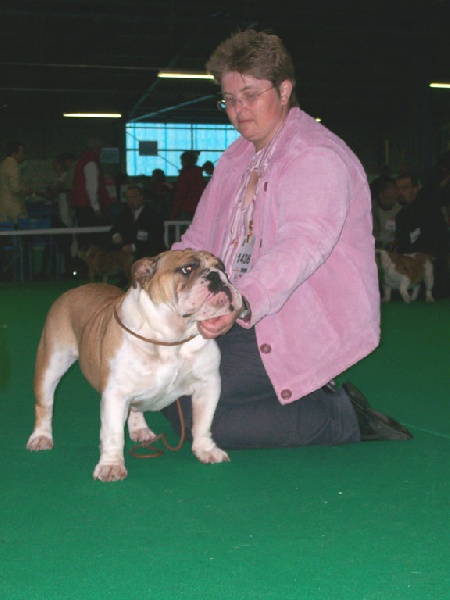 Alcyone De la queue du grill - Excellent (dans les 6 dernières)
