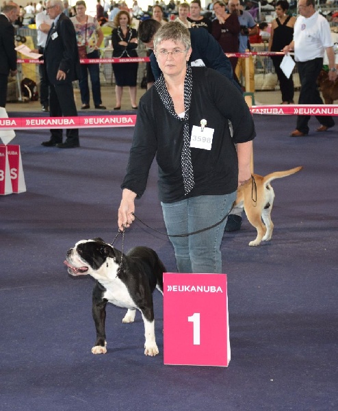 CH. Pickwick Zagan - 1er Exc RCACS