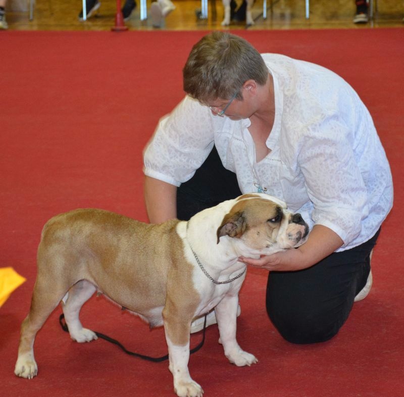 Pickwick Umea - Excellent