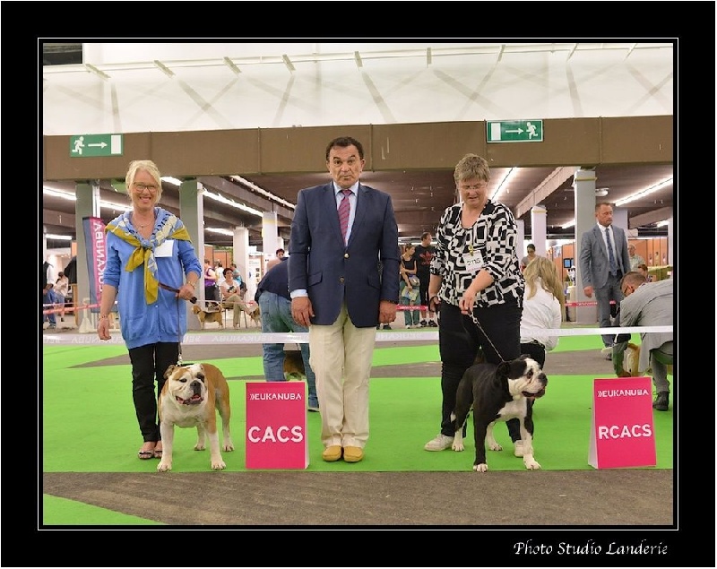 CH. Pickwick Zagan - 1er Exc RCACS, classse inter