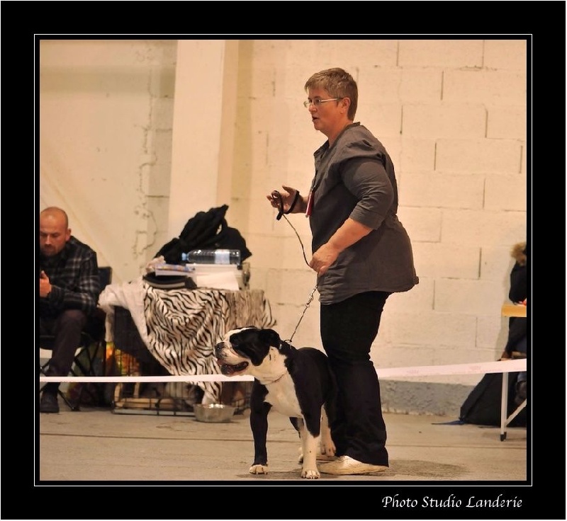 CH. Pickwick Zagan - 2ème Excellent RCACS