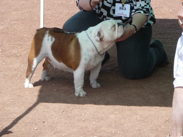 Feliz de vivir del Caliborso - 4ème Excellent