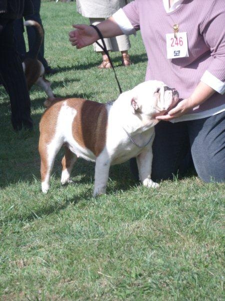 Feliz de vivir del Caliborso - 1ère Exc RCACS