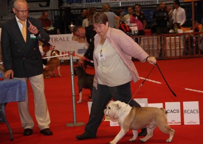 Kelloe Credibility - Très Bon