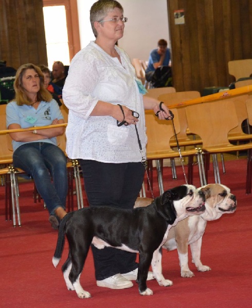 Pickwick Umea - Meilleure paire