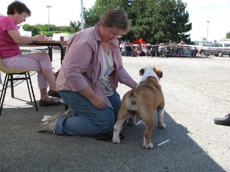 Alcyone De la queue du grill - 1er exc