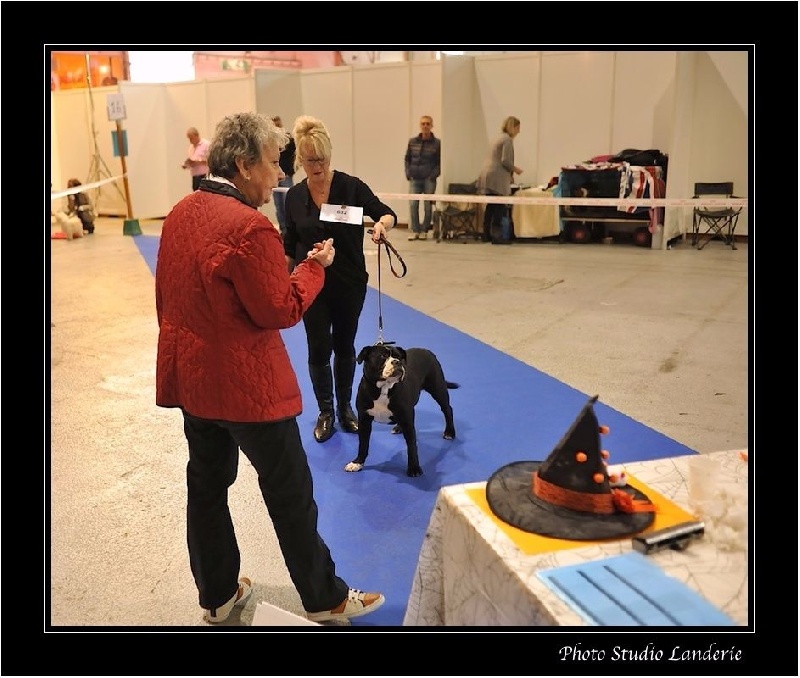 La mathurine De la queue du grill - Très Prometteur