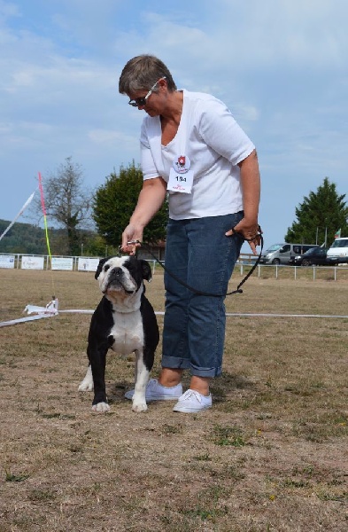 CH. Pickwick Zagan - 2ème Exc RCACS