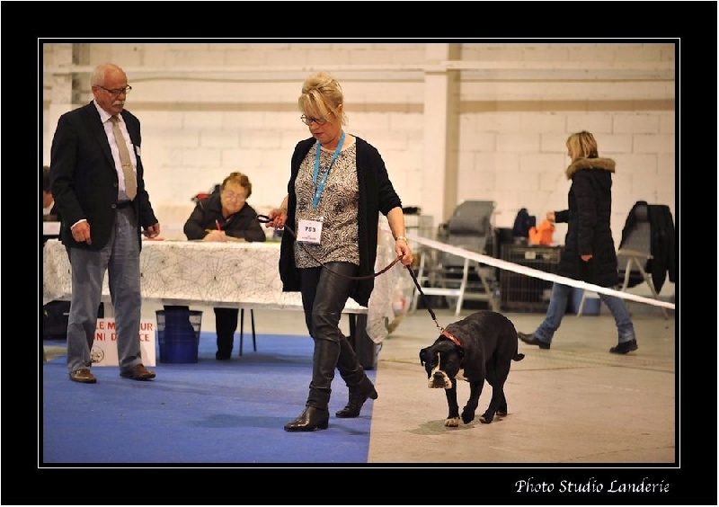 La mathurine De la queue du grill - Très Prometteur