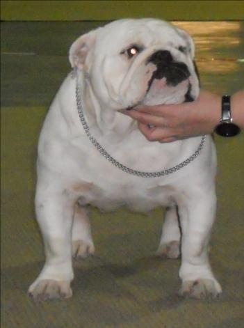 Feliz de vivir del Caliborso - 2ème Exc RCAC