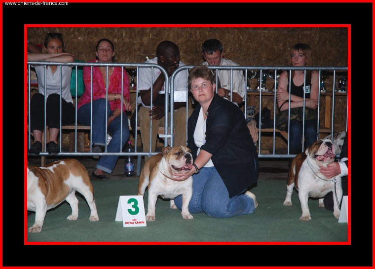 Alcyone De la queue du grill - 3ème excellent CIF