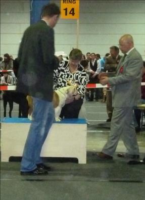 Feliz de vivir del Caliborso - Excellent