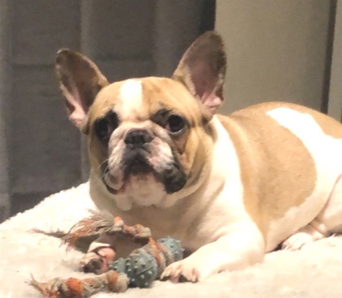 Publication : Le parfum des lavandes