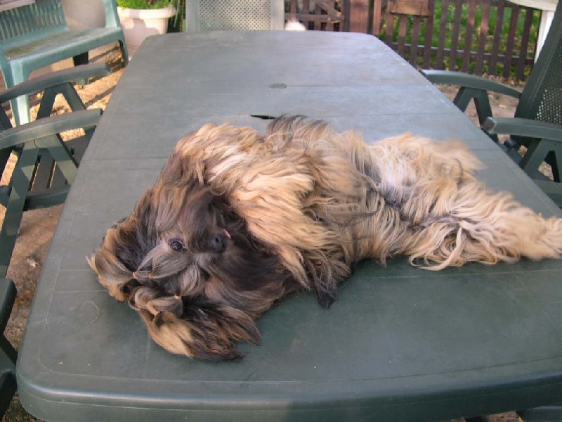 Publication : de l'Abbaye de Calmetie Auteur : Yves Annen