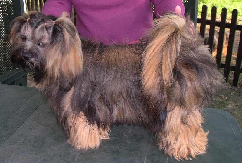 Publication : de l'Abbaye de Calmetie Auteur : Yves Annen