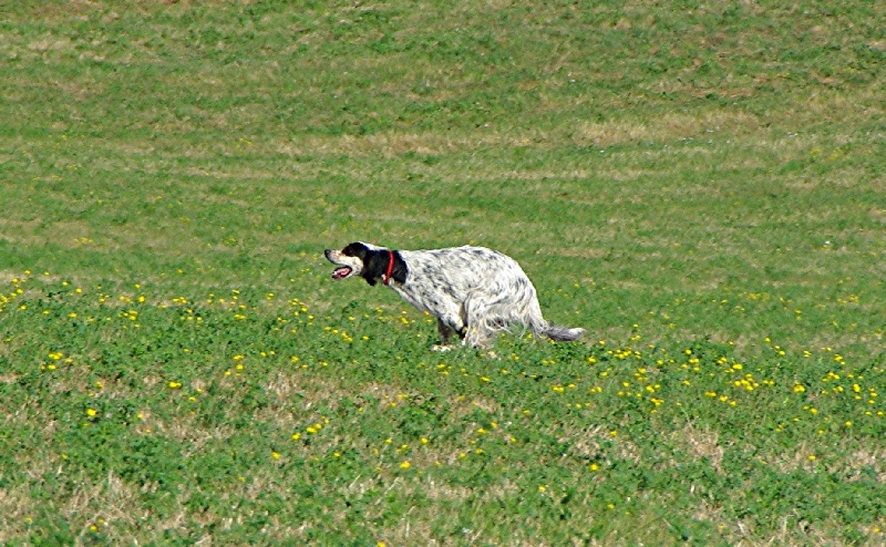 Publication : du Gourg D'Enfer