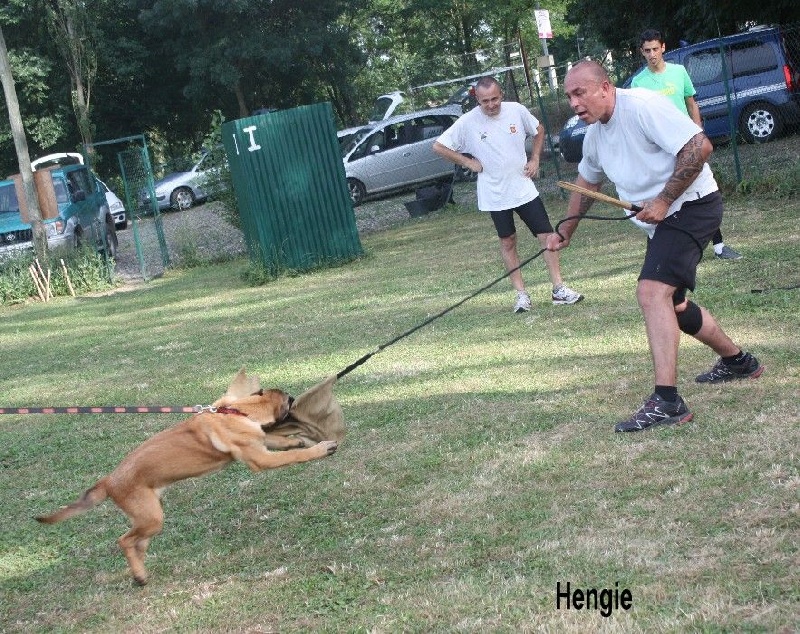 Hengie des Nuits de Reves