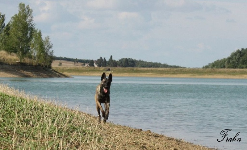 Frahn des Nuits de Reves