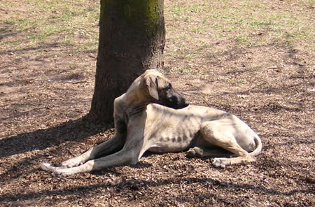 Urkhan el zaïm D'Imi-N-Tanout