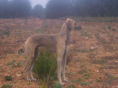 Usleg el kelaa D'Imi-N-Tanout