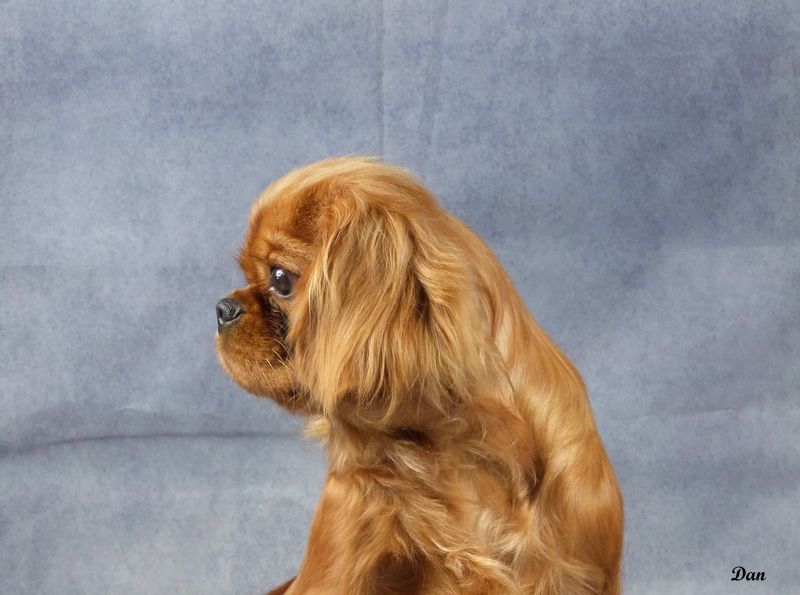 Publication : De la geode