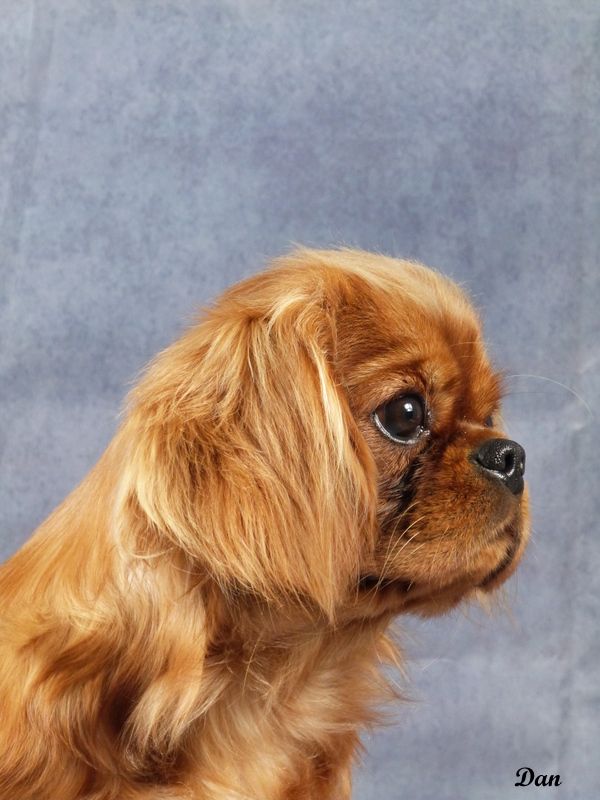 Publication : De la geode