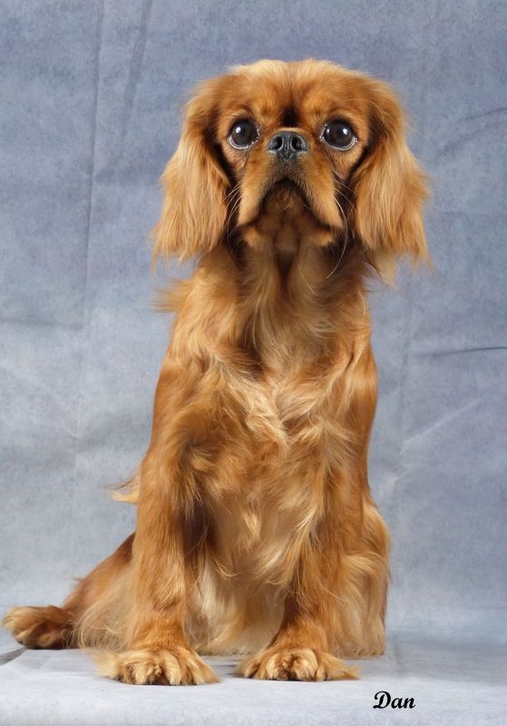 Publication : De la geode