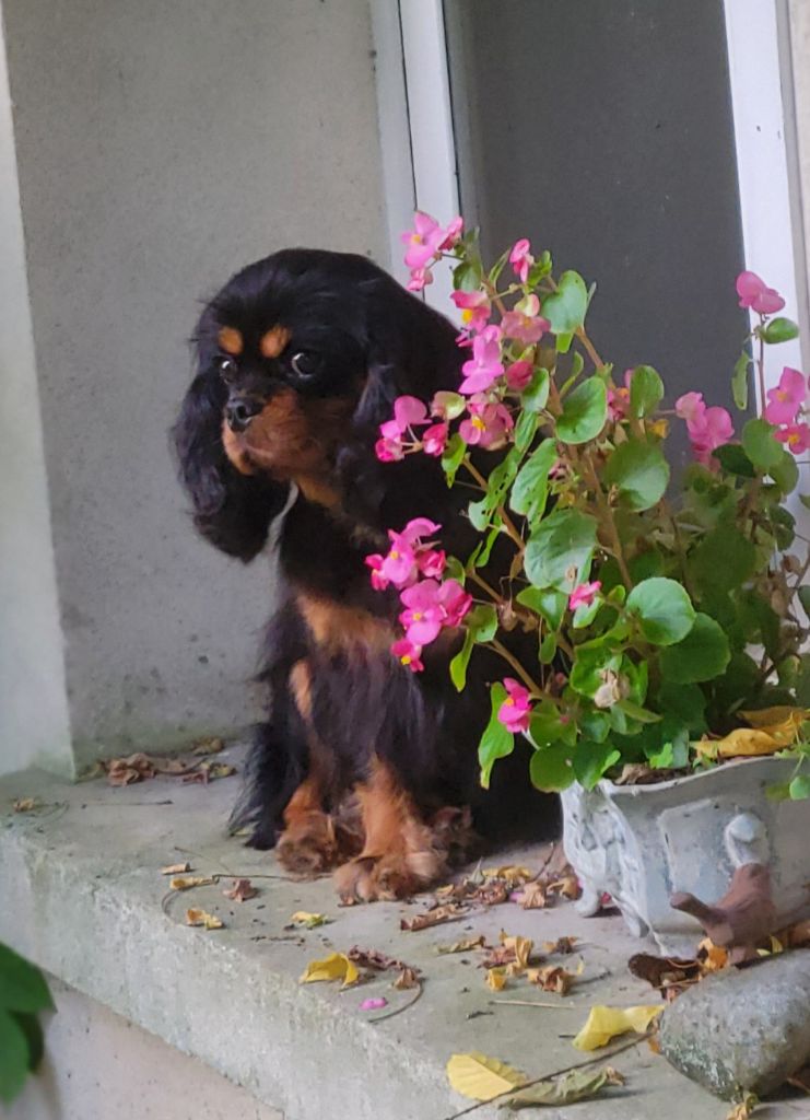 Publication : De la geode