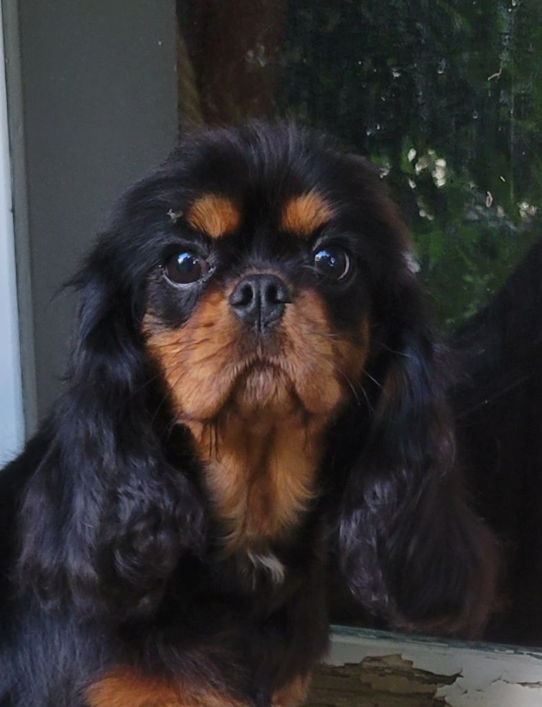 Publication : De la geode