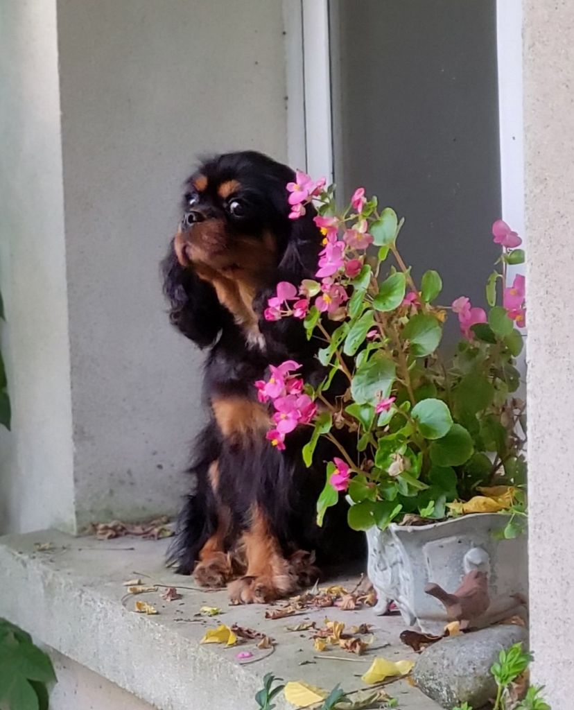 Publication : De la geode