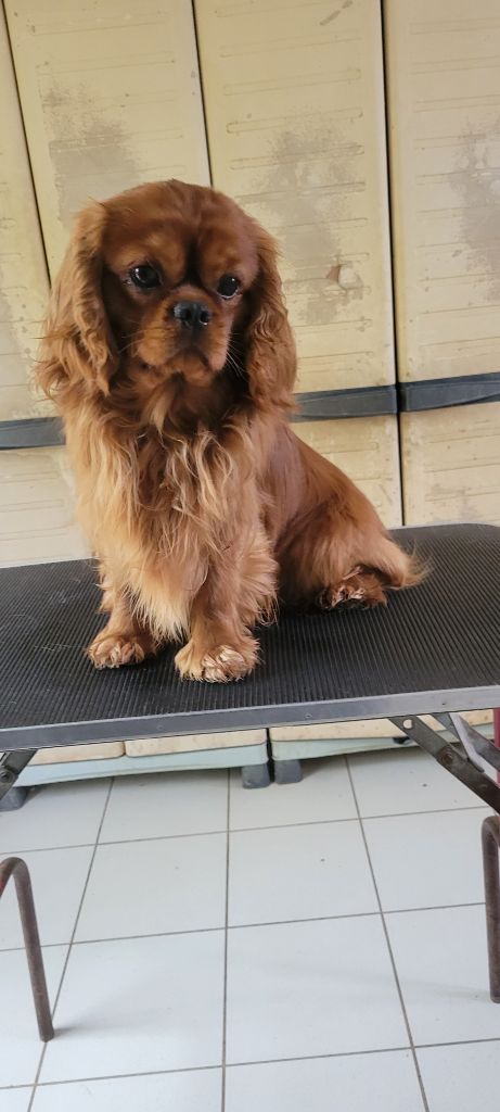 Publication : De la geode