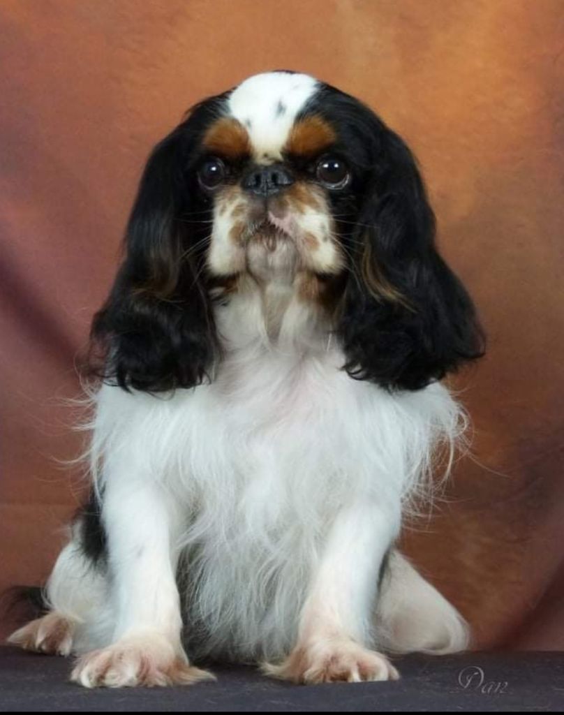 Ormouz De la geode - RCACS