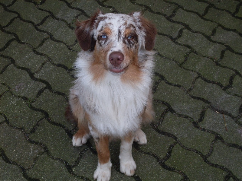 Publication : de la vallée d'Eole Auteur : Born in Rosebud