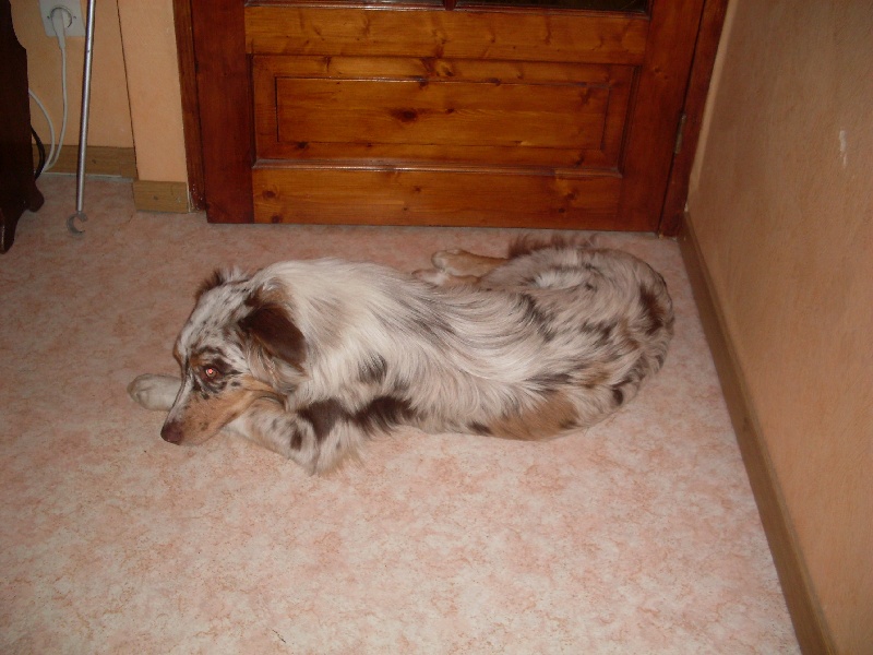 Publication : de la vallée d'Eole Auteur : Born in Rosebud