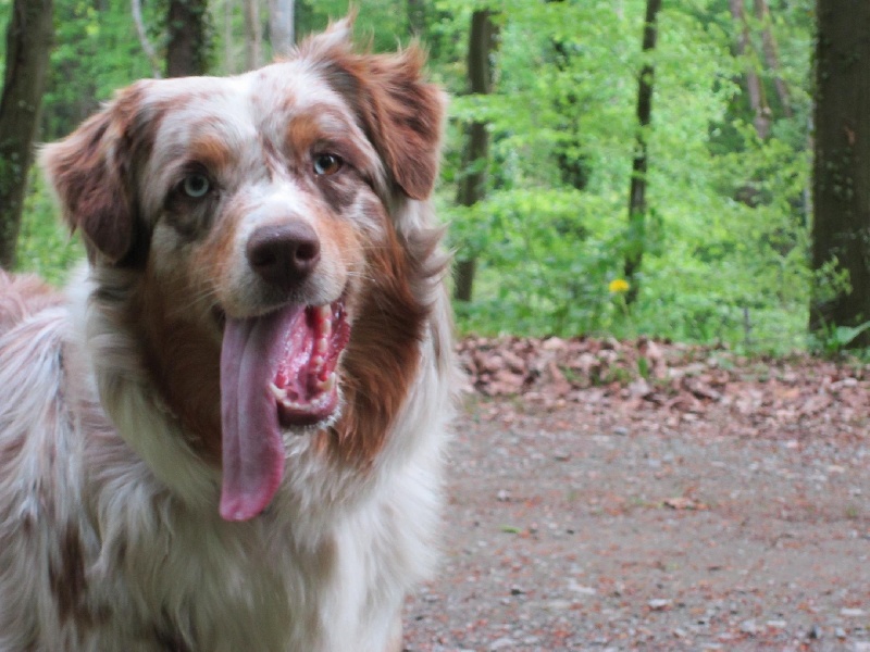 Publication : de la vallée d'Eole Auteur : Born in Rosebud