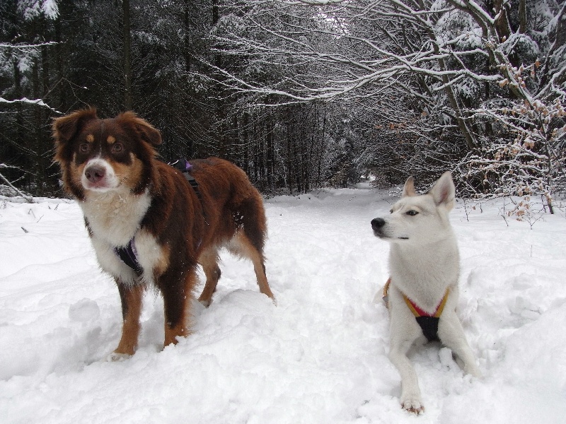 Publication : de la vallée d'Eole Auteur : B.RIFF