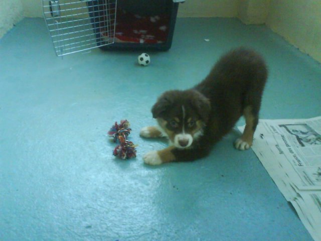 Publication : de la vallée d'Eole Auteur : B.RIFF