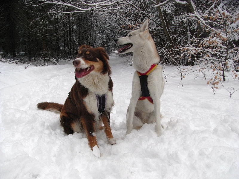 Publication : de la vallée d'Eole Auteur : B.RIFF