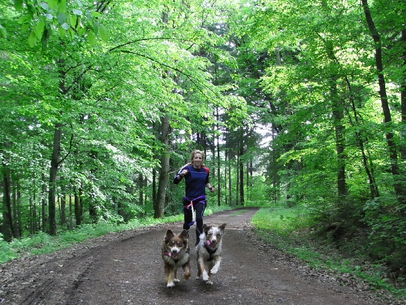 Publication : de la vallée d'Eole Auteur : B.RIFF