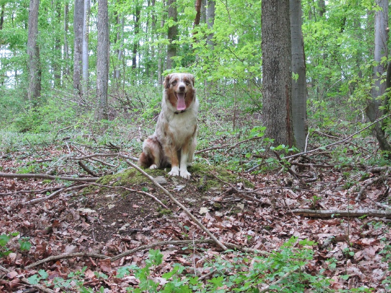 Publication : de la vallée d'Eole Auteur : Born in Rosebud