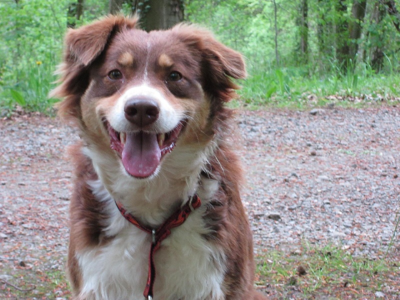 Publication : de la vallée d'Eole Auteur : B.RIFF